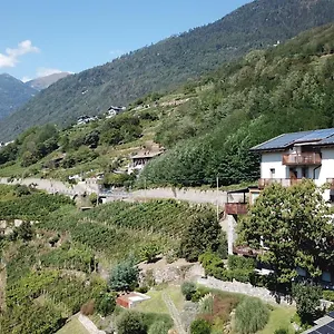 Wine Retici Balzi 4* Poggiridenti